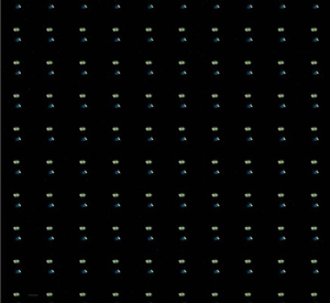 PL 8019