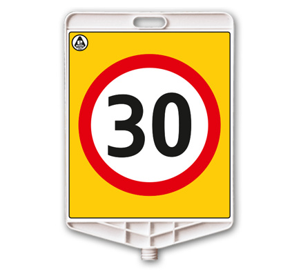 308 A R